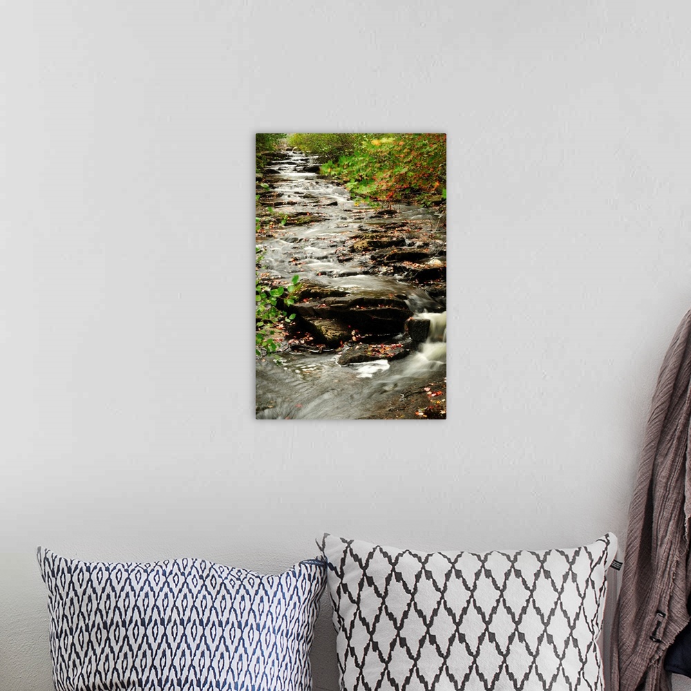 A bohemian room featuring Scenic view of Duck Brook in Acadia National Park in the fall.
