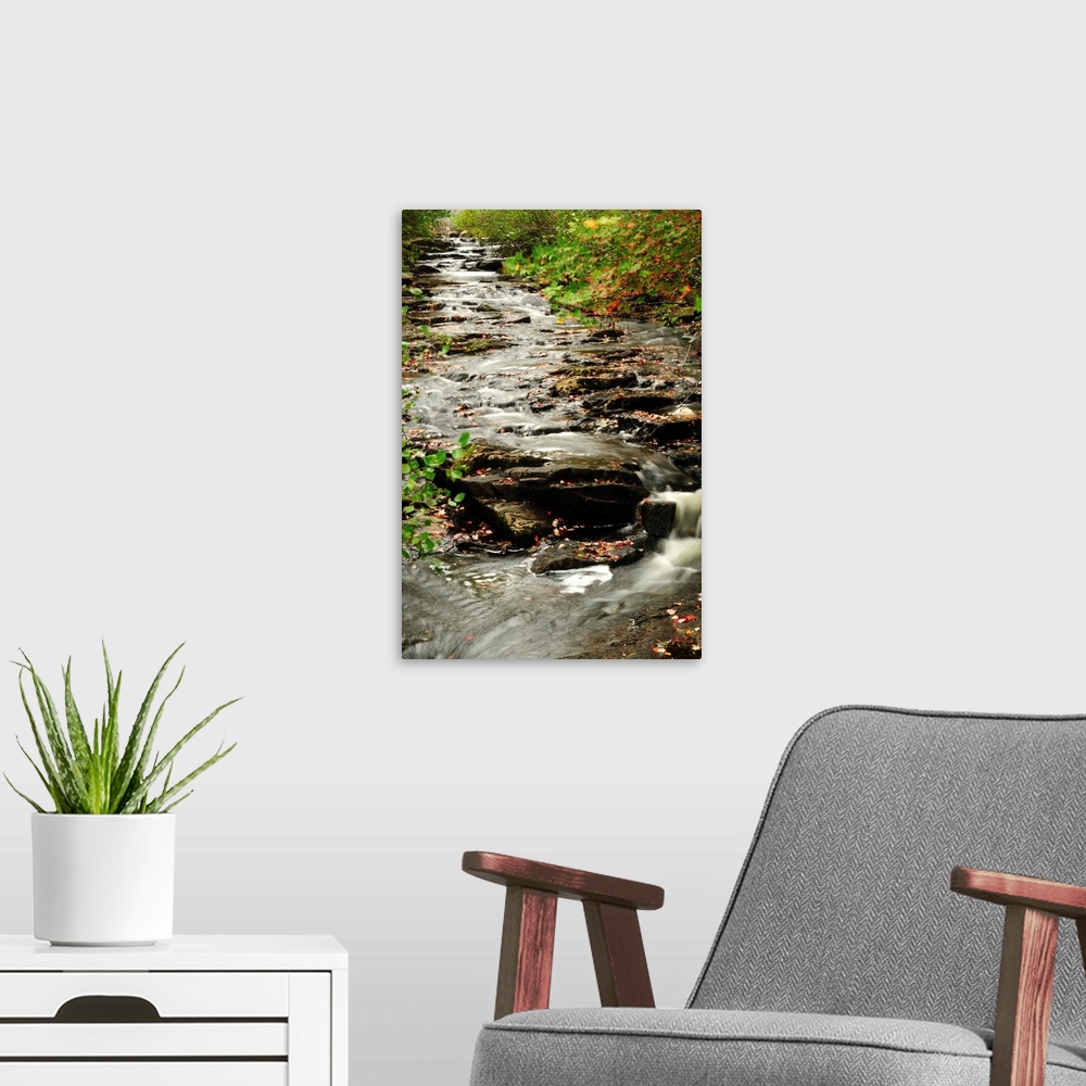 A modern room featuring Scenic view of Duck Brook in Acadia National Park in the fall.