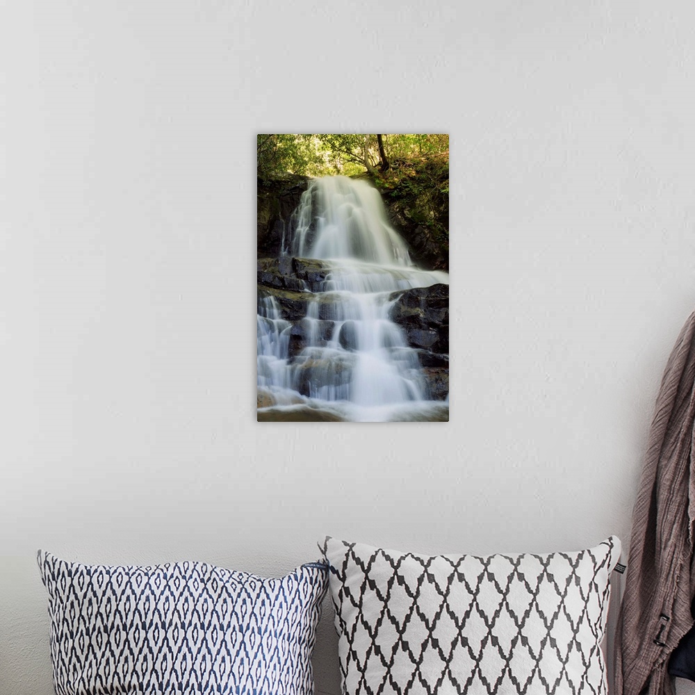 A bohemian room featuring Scenic view of Laurel Falls in the Smoky Mountains.