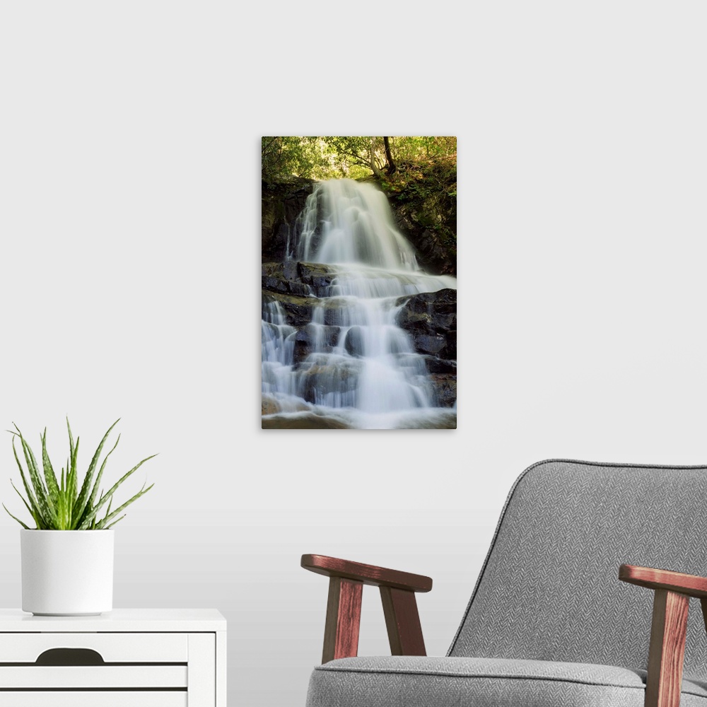 A modern room featuring Scenic view of Laurel Falls in the Smoky Mountains.