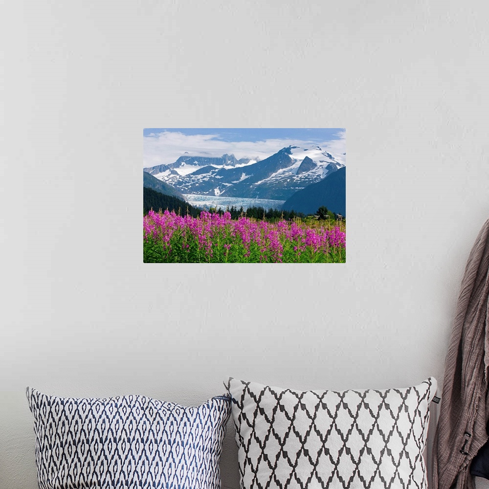 A bohemian room featuring Landscape, large photograph of Fireweed in the foreground, snow covered Mendenhall Glacier in the...