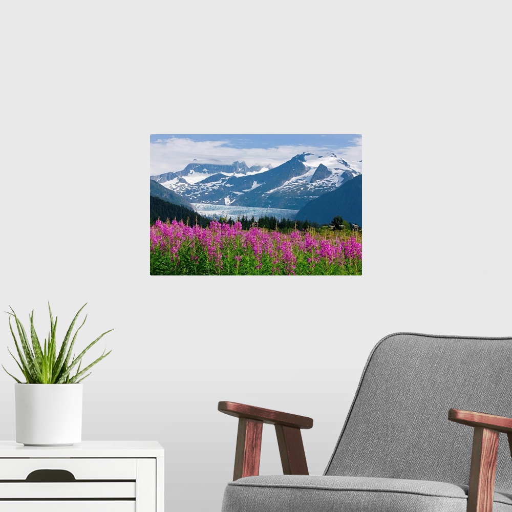A modern room featuring Landscape, large photograph of Fireweed in the foreground, snow covered Mendenhall Glacier in the...