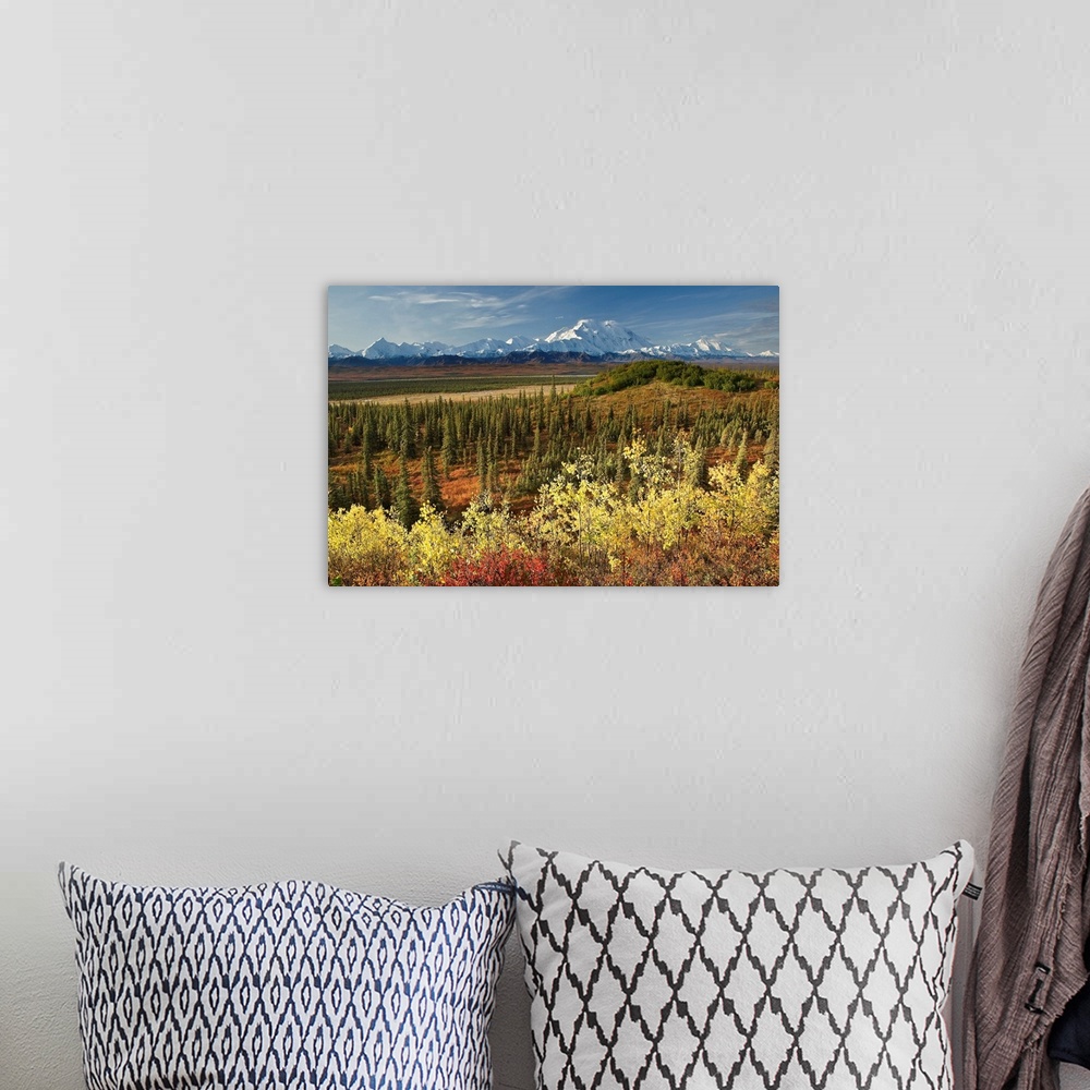 A bohemian room featuring A scenic photograph with taiga and fall colors in the foreground and a view of the Alaska Range, ...