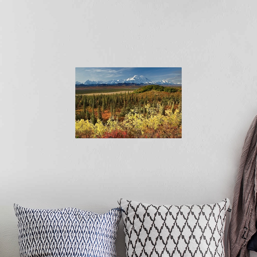 A bohemian room featuring A scenic photograph with taiga and fall colors in the foreground and a view of the Alaska Range, ...