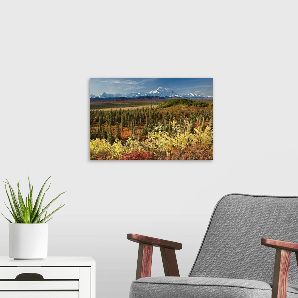 A modern room featuring A scenic photograph with taiga and fall colors in the foreground and a view of the Alaska Range, ...