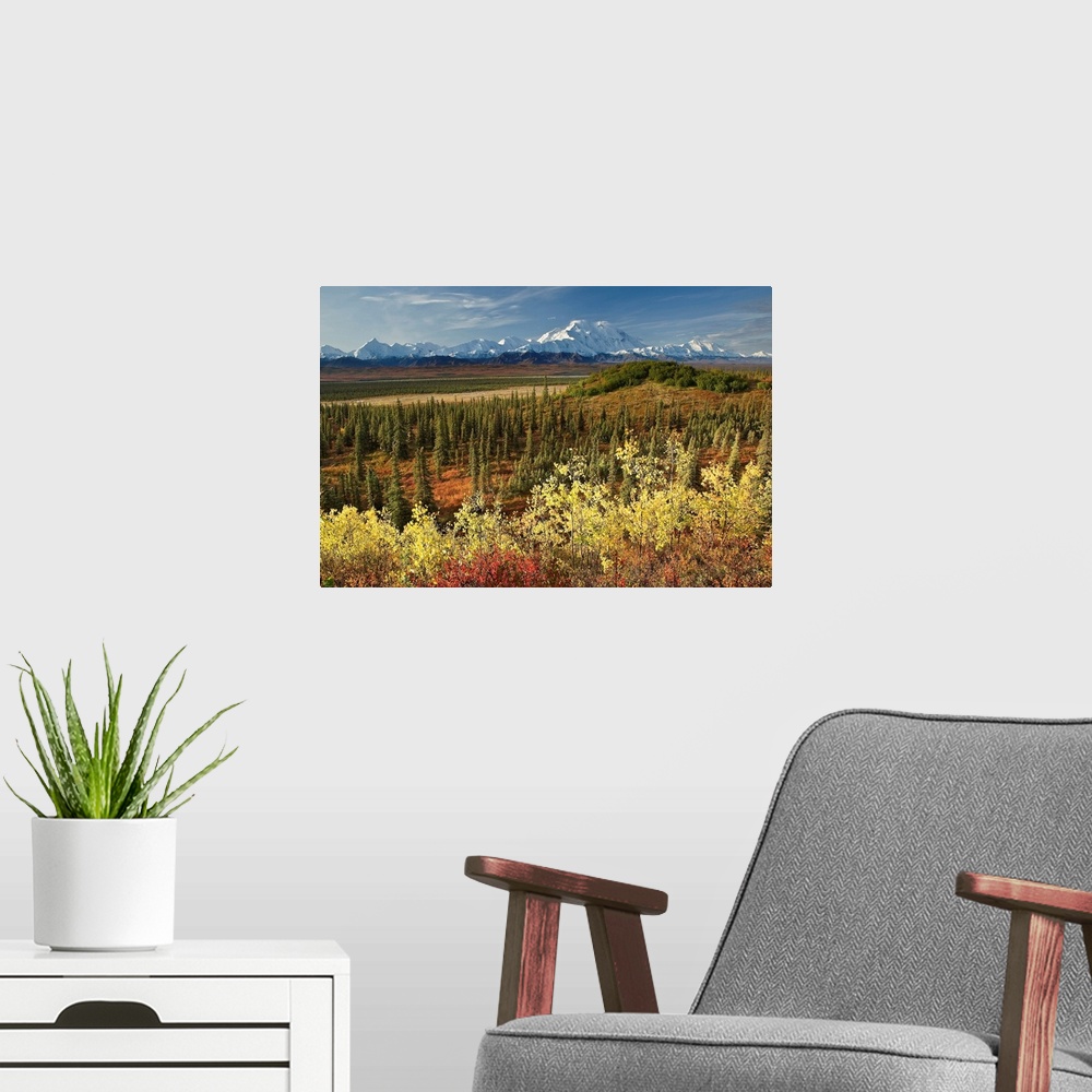 A modern room featuring A scenic photograph with taiga and fall colors in the foreground and a view of the Alaska Range, ...