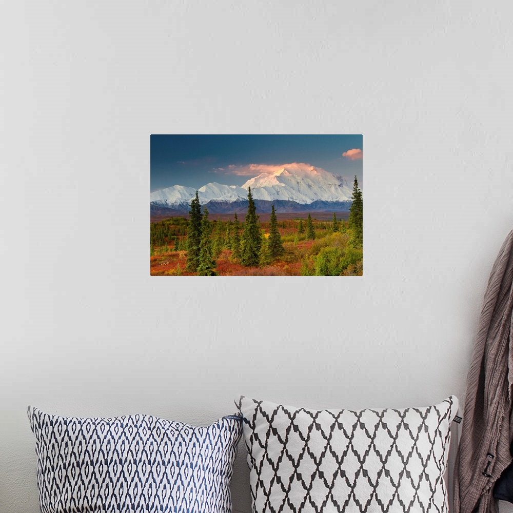 A bohemian room featuring View of Mt. McKinley at sunrise with red blueberry bushes and spruce trees in the foreground, Den...