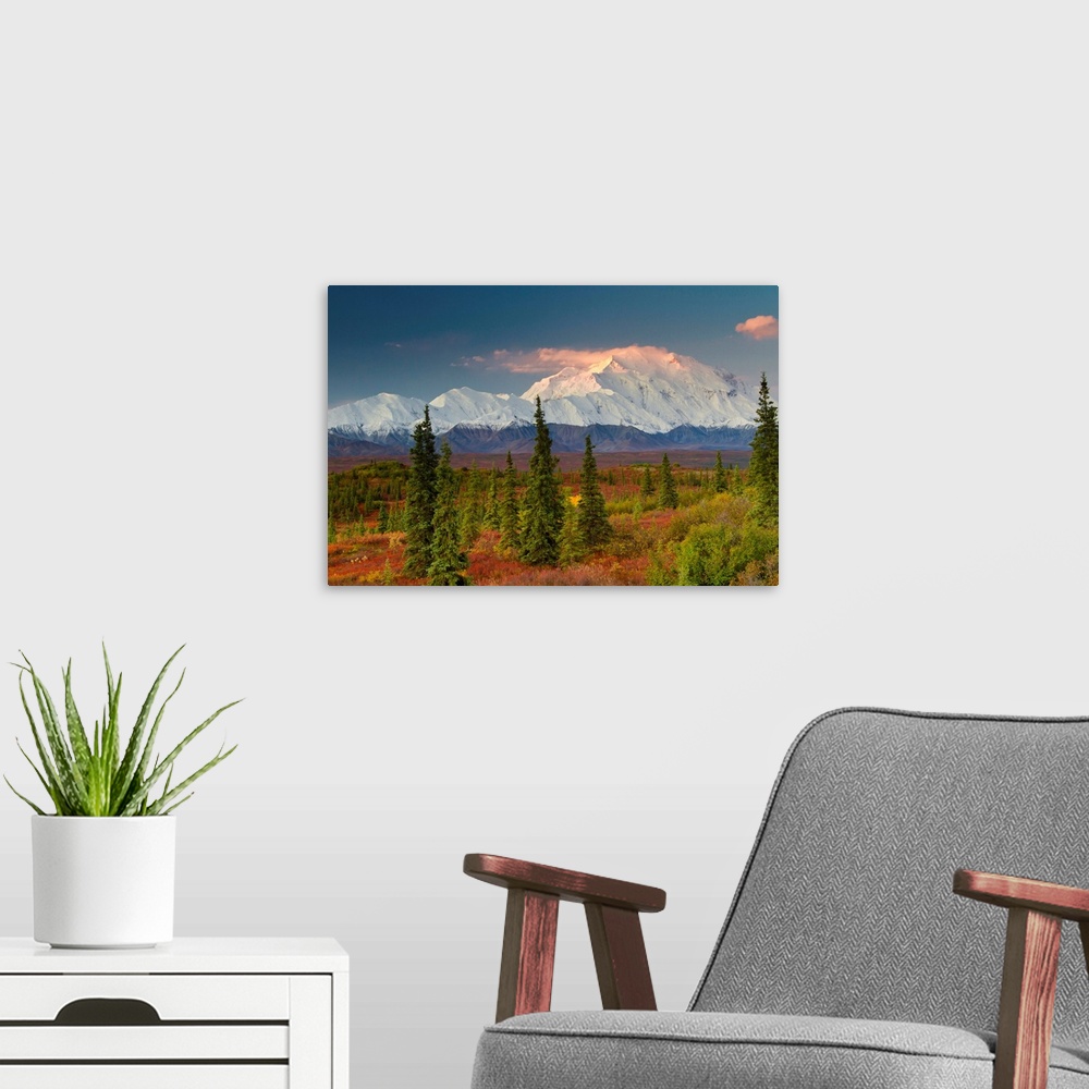 A modern room featuring View of Mt. McKinley at sunrise with red blueberry bushes and spruce trees in the foreground, Den...