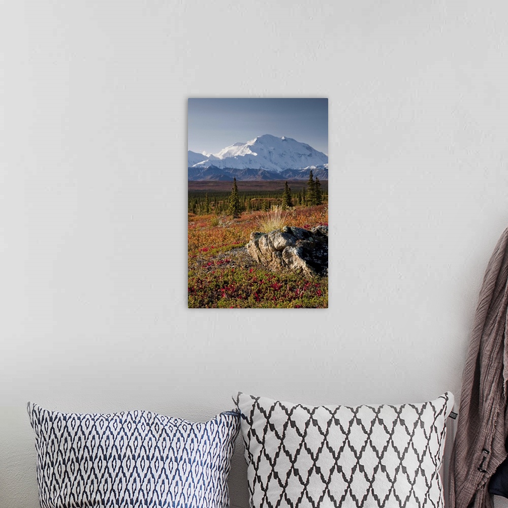 A bohemian room featuring Scenic view of Mt. McKinley during Autumn, Denali National Park, Interior Alaska