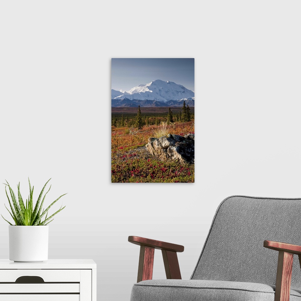 A modern room featuring Scenic view of Mt. McKinley during Autumn, Denali National Park, Interior Alaska