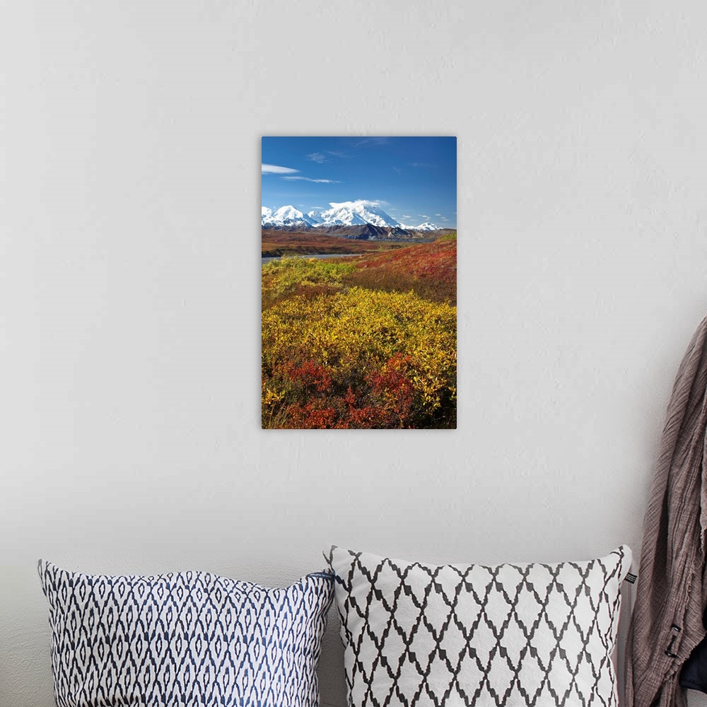 A bohemian room featuring Scenic view of Mt.McKinley from Thorofare Pass with Autumn tundra, Denali National Park