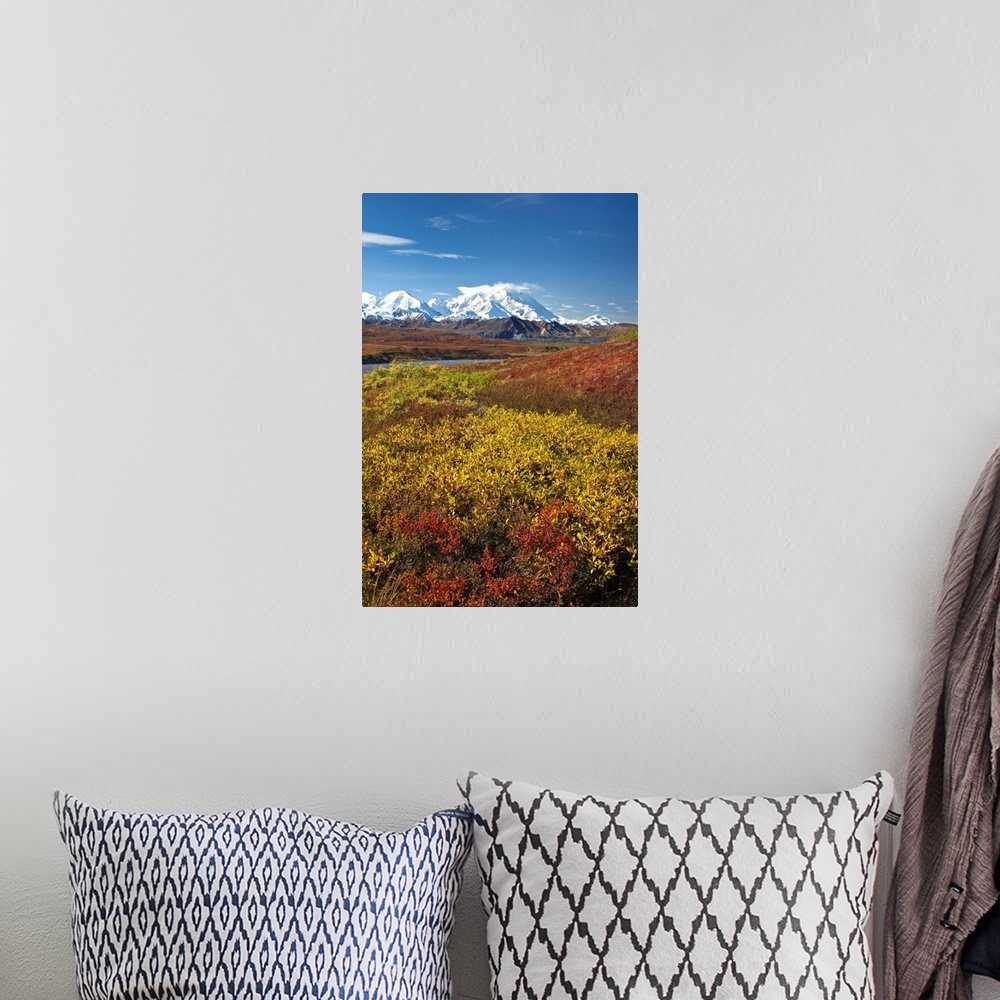 A bohemian room featuring Scenic view of Mt.McKinley from Thorofare Pass with Autumn tundra, Denali National Park