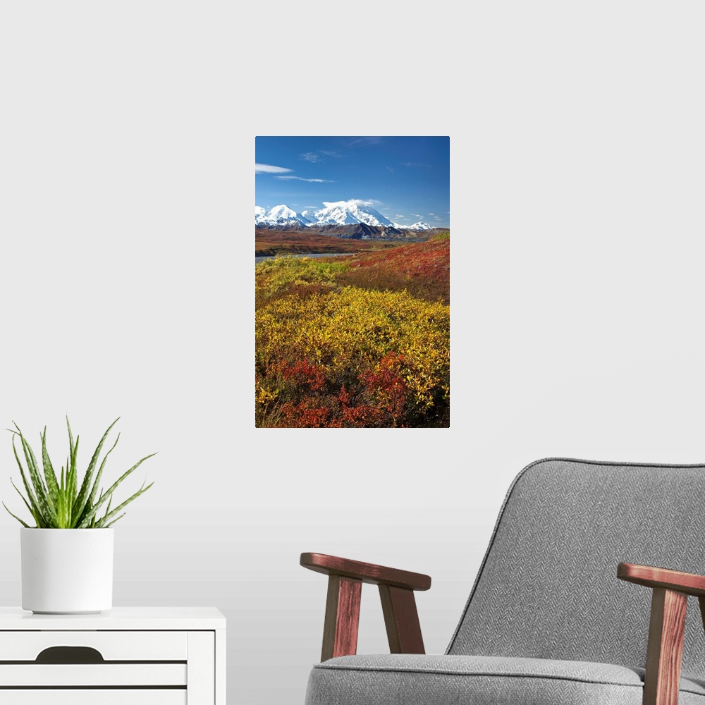 A modern room featuring Scenic view of Mt.McKinley from Thorofare Pass with Autumn tundra, Denali National Park