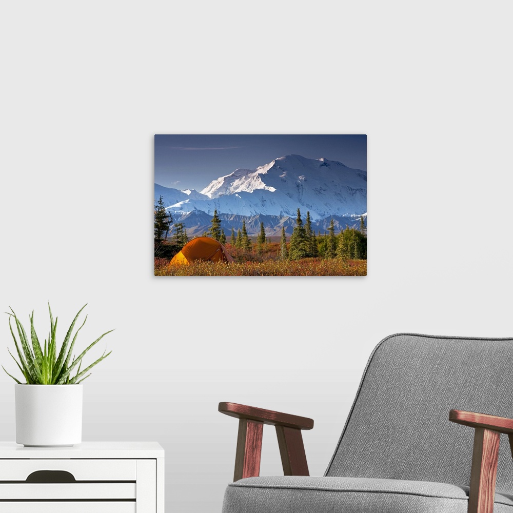 A modern room featuring Oversized landscape photograph of snow covered Mt. McKinley behind a an open filed with some pine...