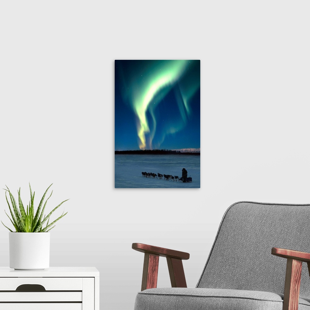 A modern room featuring Scenic view of musher with Northern Lights overhead Alaska, Winter