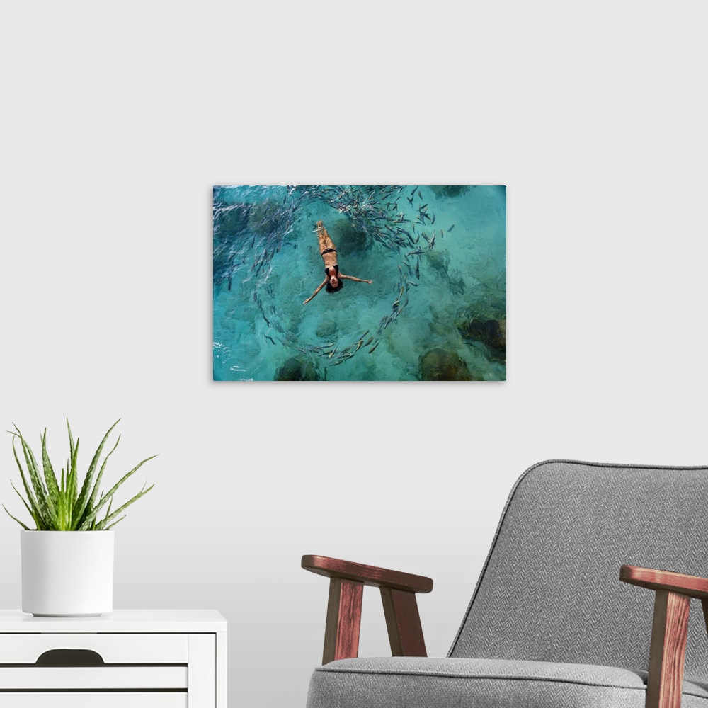 A modern room featuring School Of Fish Encircling Woman Floating In Tropical Ocean Water
