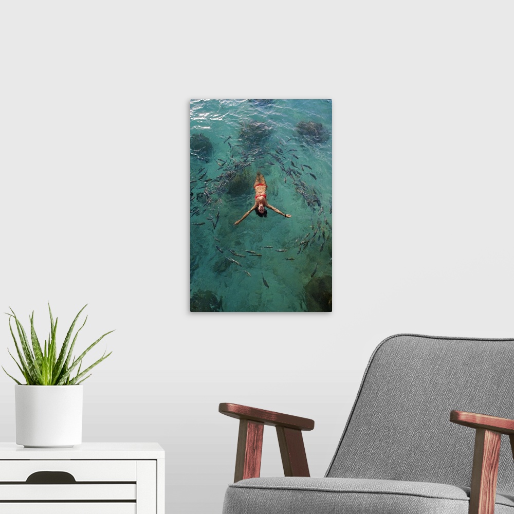 A modern room featuring School Of Fish Encircling Woman Floating In Tropical Ocean Water