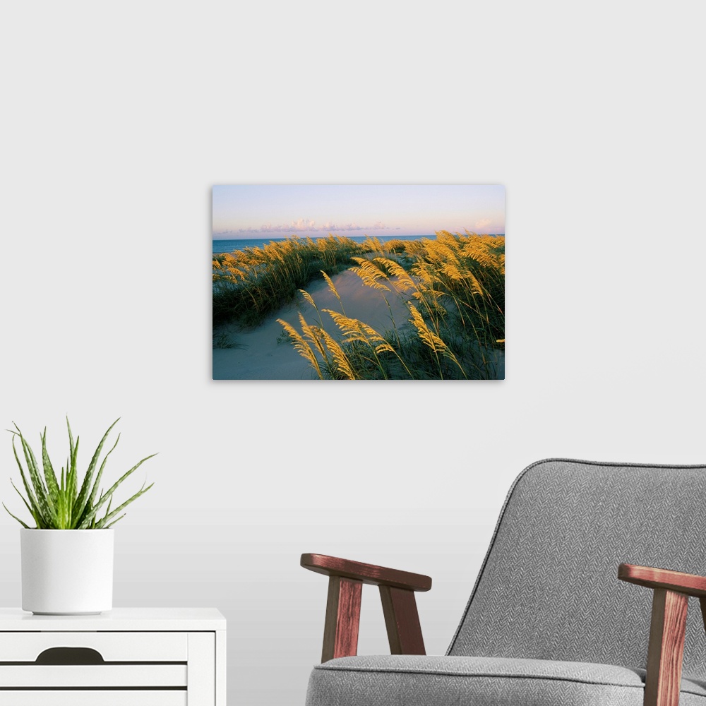 A modern room featuring Sea oats, dunes, and beach at Oregon Inlet.