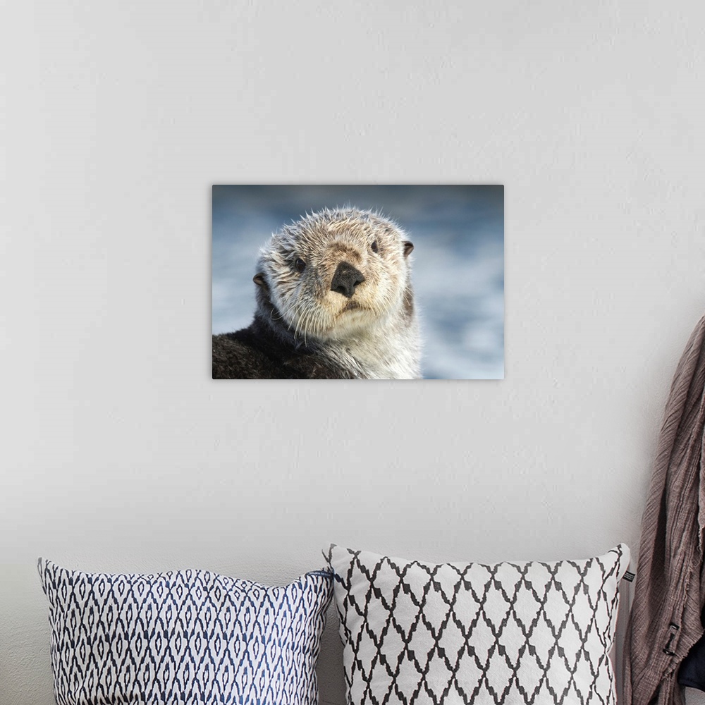 A bohemian room featuring Sea Otter in Whittier, Alaska
