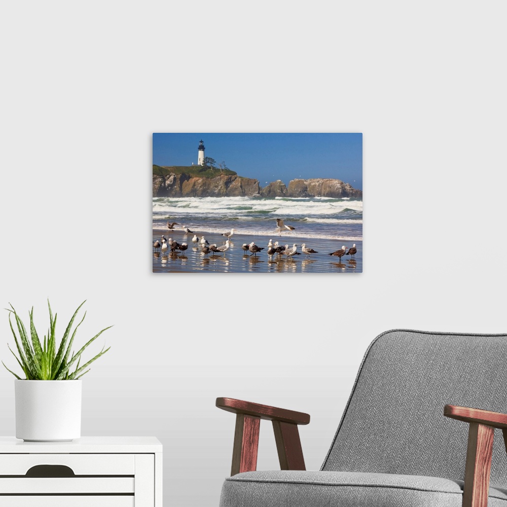 A modern room featuring Seagulls On The Beach And Yaquina Head Lighthouse On The Oregon Coast; Oregon