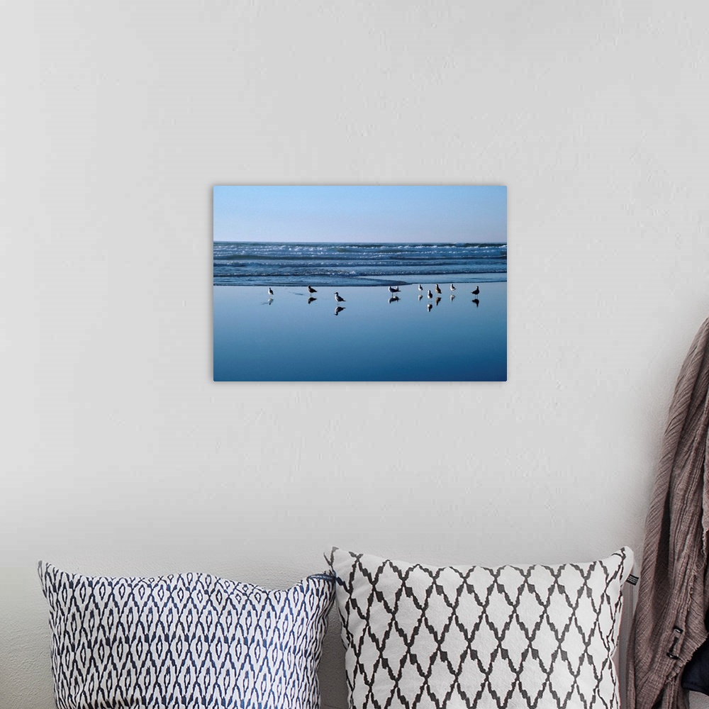 A bohemian room featuring Seagulls Standing On The Shore As The Waves Roll In
