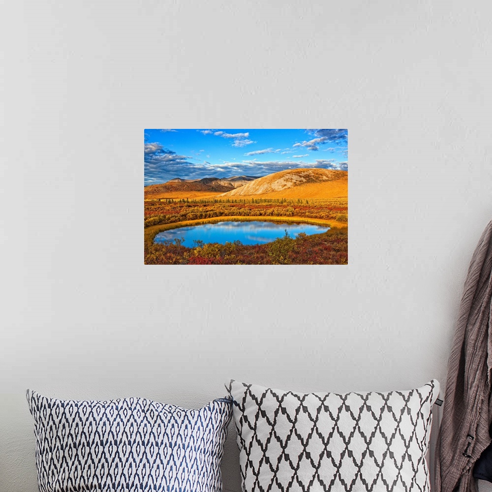 A bohemian room featuring The Setting Sun Illuminates The Vibrant Colours Of The Tundra And A Pond Along The Dempster Highw...