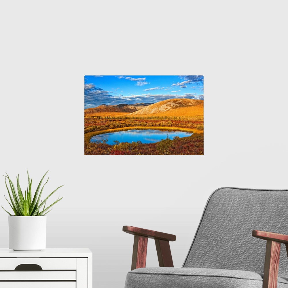 A modern room featuring The Setting Sun Illuminates The Vibrant Colours Of The Tundra And A Pond Along The Dempster Highw...
