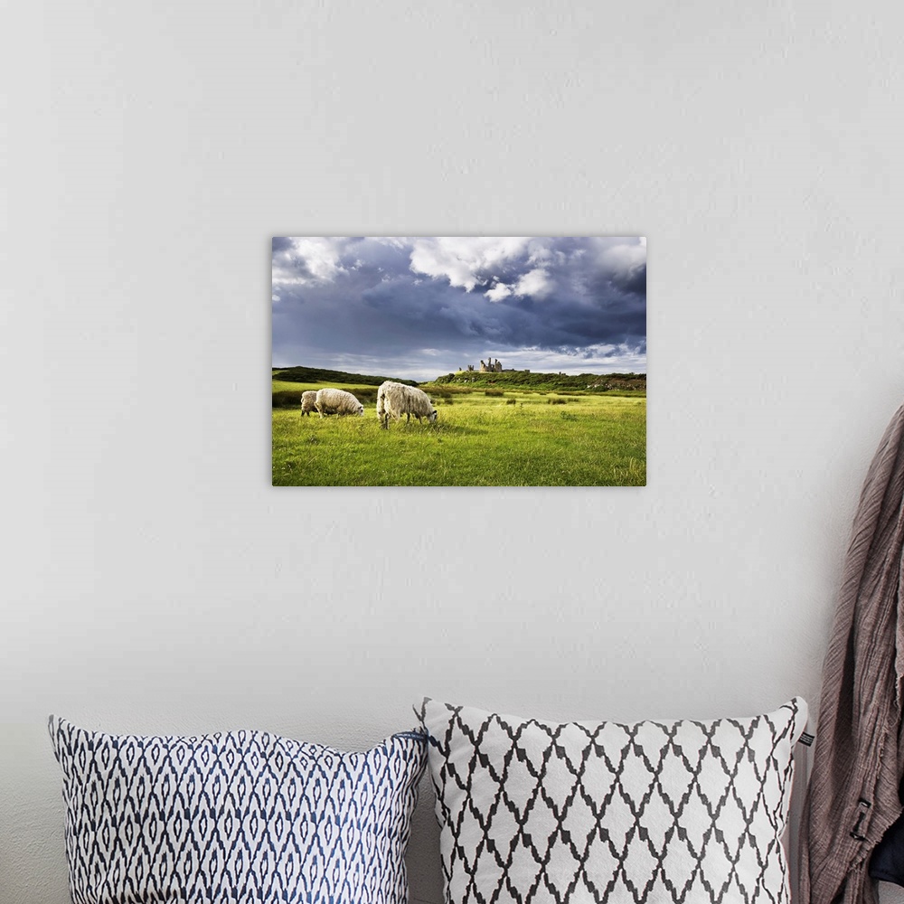 A bohemian room featuring Sheep and Dunstanburgh Castle, Northumberland, Northumbria, England, United Kingdom