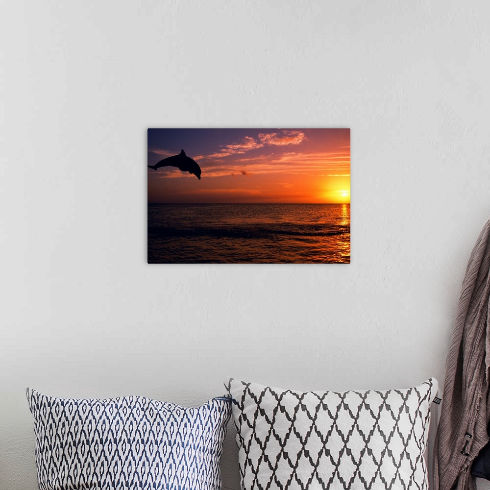 A bohemian room featuring Silhouette Of Bottlenose Dolphin Leaping Over Ocean At Sunset, Caribbean Sea