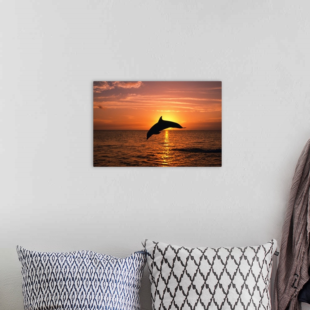A bohemian room featuring Silhouette Of Leaping Bottlenose Dolphin, Sunset, Caribbean Sea