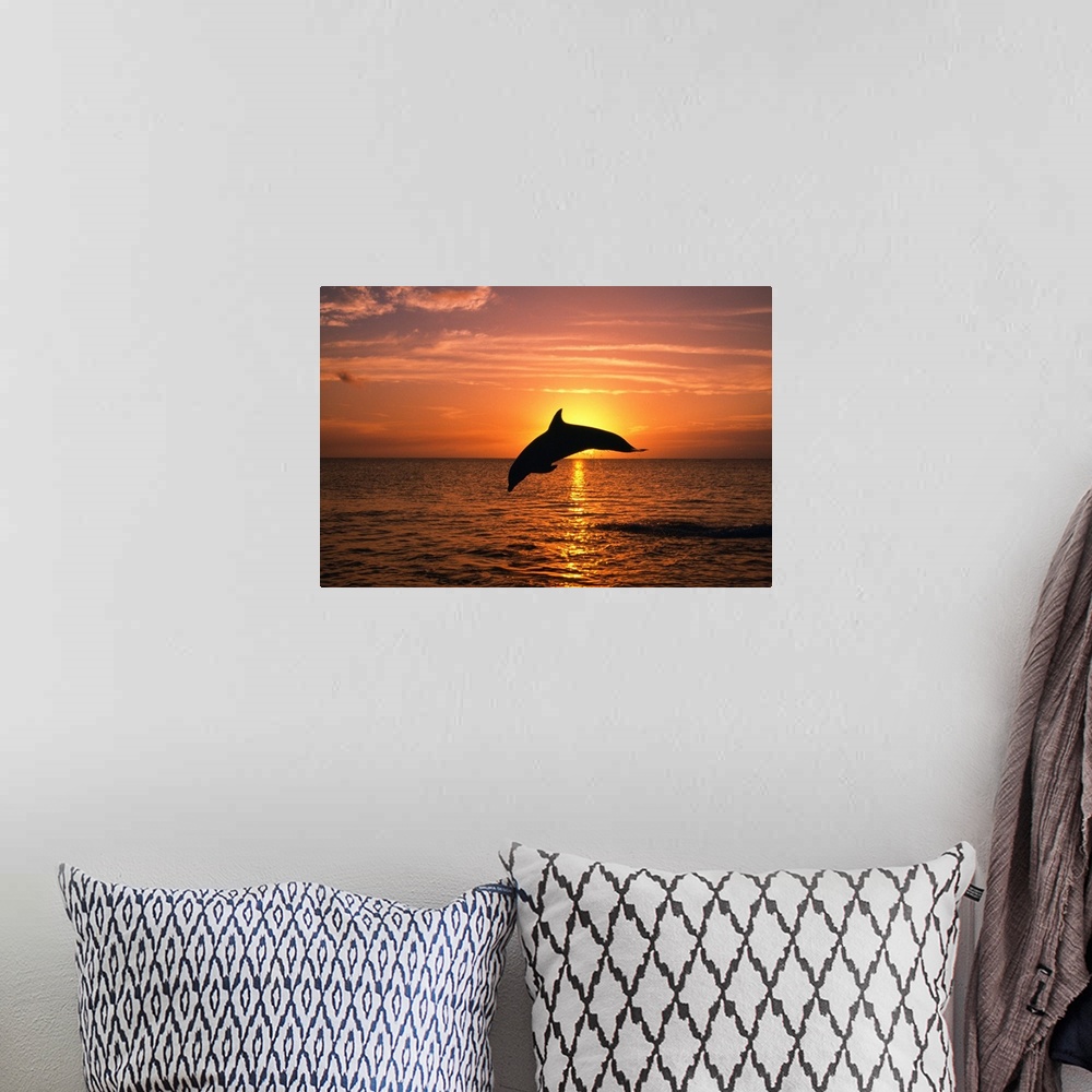 A bohemian room featuring Silhouette Of Leaping Bottlenose Dolphin, Sunset, Caribbean Sea