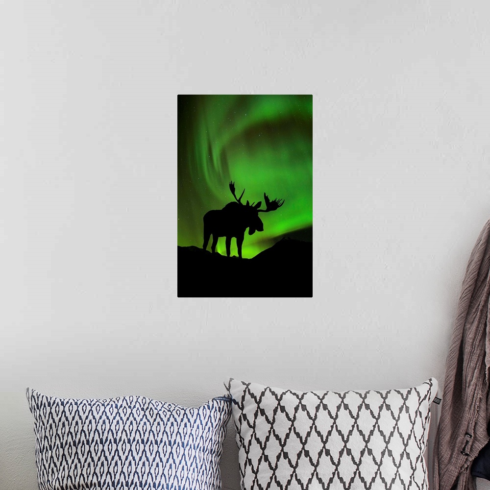 A bohemian room featuring Silhouette of Moose with green Aurora Borealis behind it, Interior, Alaska