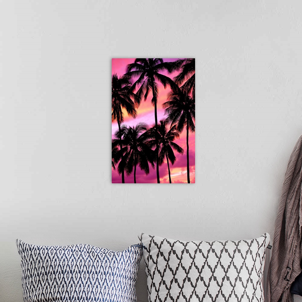 A bohemian room featuring Silhouette of Palm Trees North Shore, Oahu, Hawaii