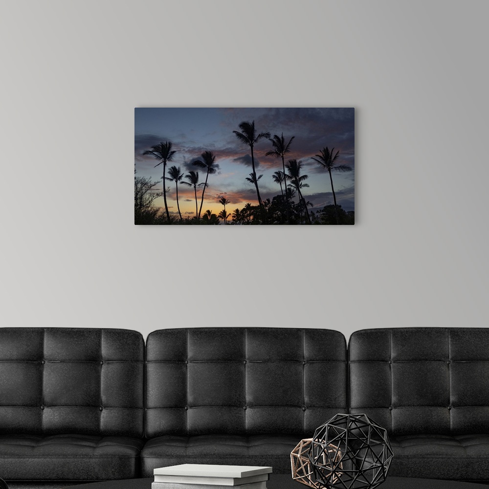 A modern room featuring Silhouetted Palm Trees Against The Sky At Twilight In Kihei, Maui, Hawaii
