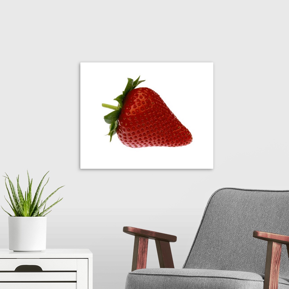 A modern room featuring Single Strawberry