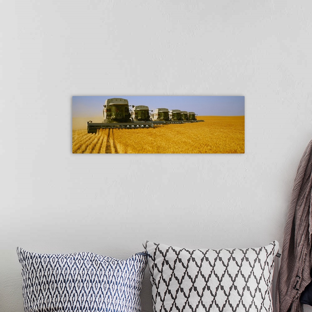 A bohemian room featuring Six Gleaner combines harvest wheat in tandem