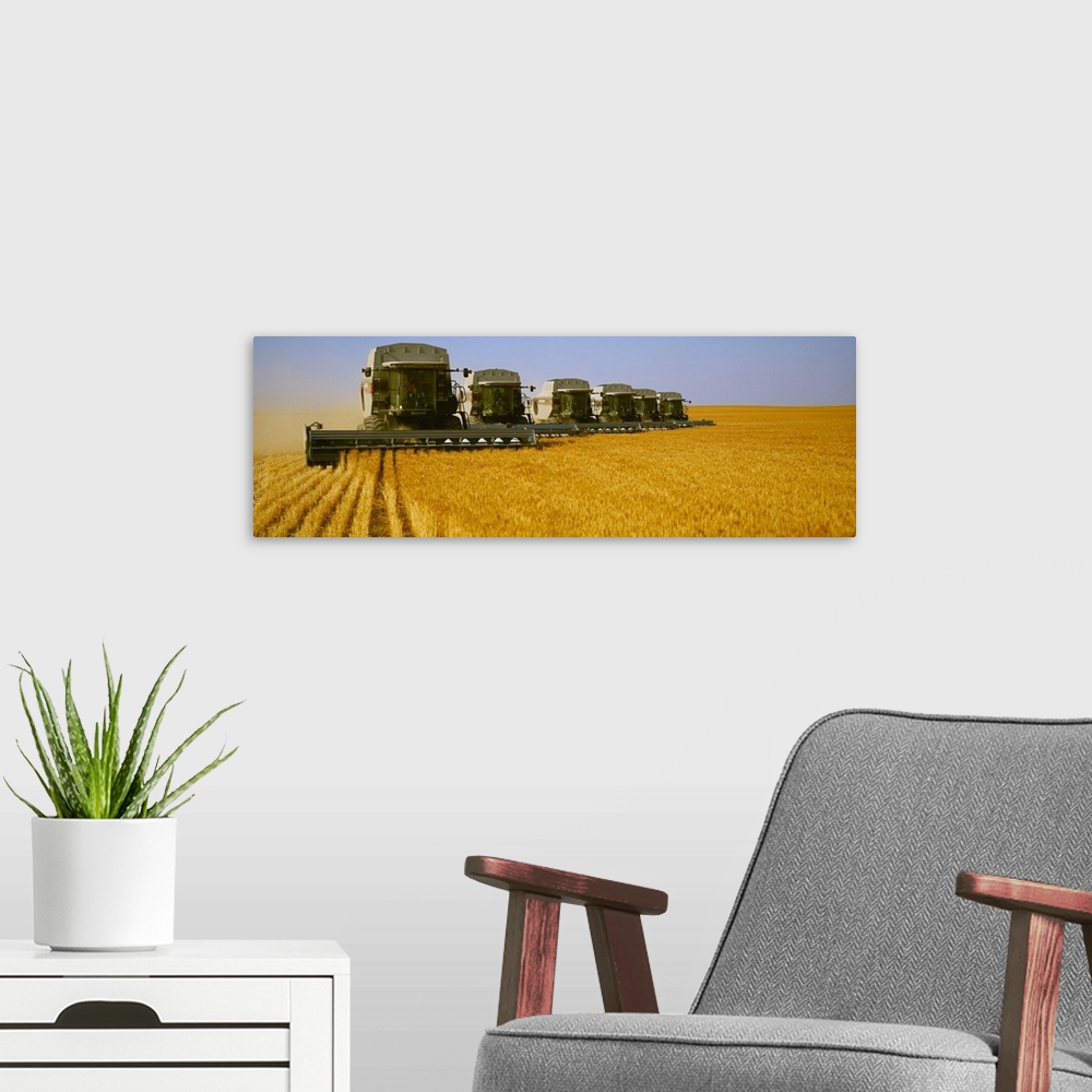 A modern room featuring Six Gleaner combines harvest wheat in tandem