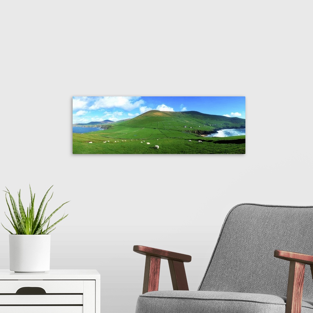 A modern room featuring Slea Head, Dingle Peninsula, Co Kerry, Ireland