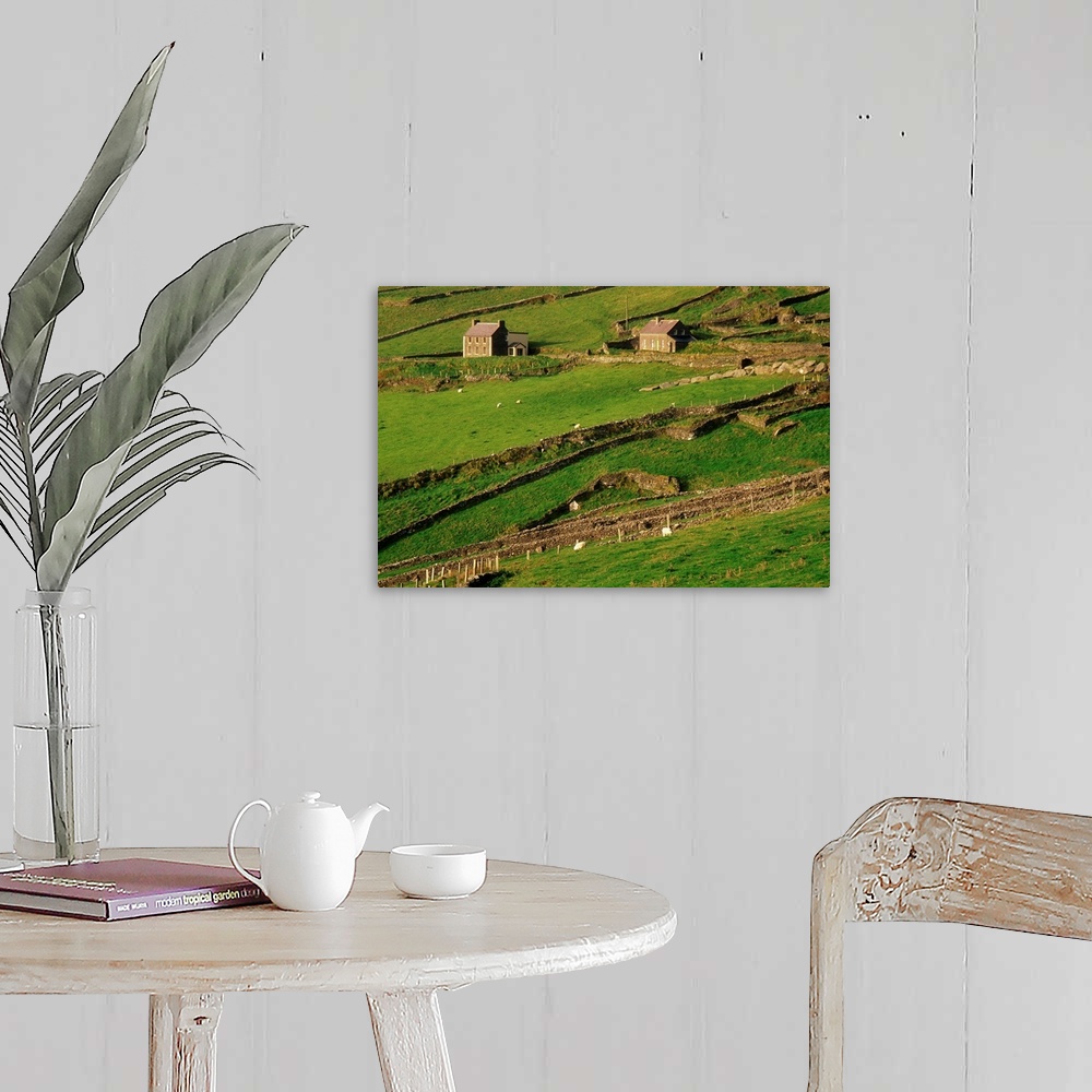 A farmhouse room featuring Slea Head, Dingle Peninsula, County Kerry, Ireland; Aerial Of Farmscape