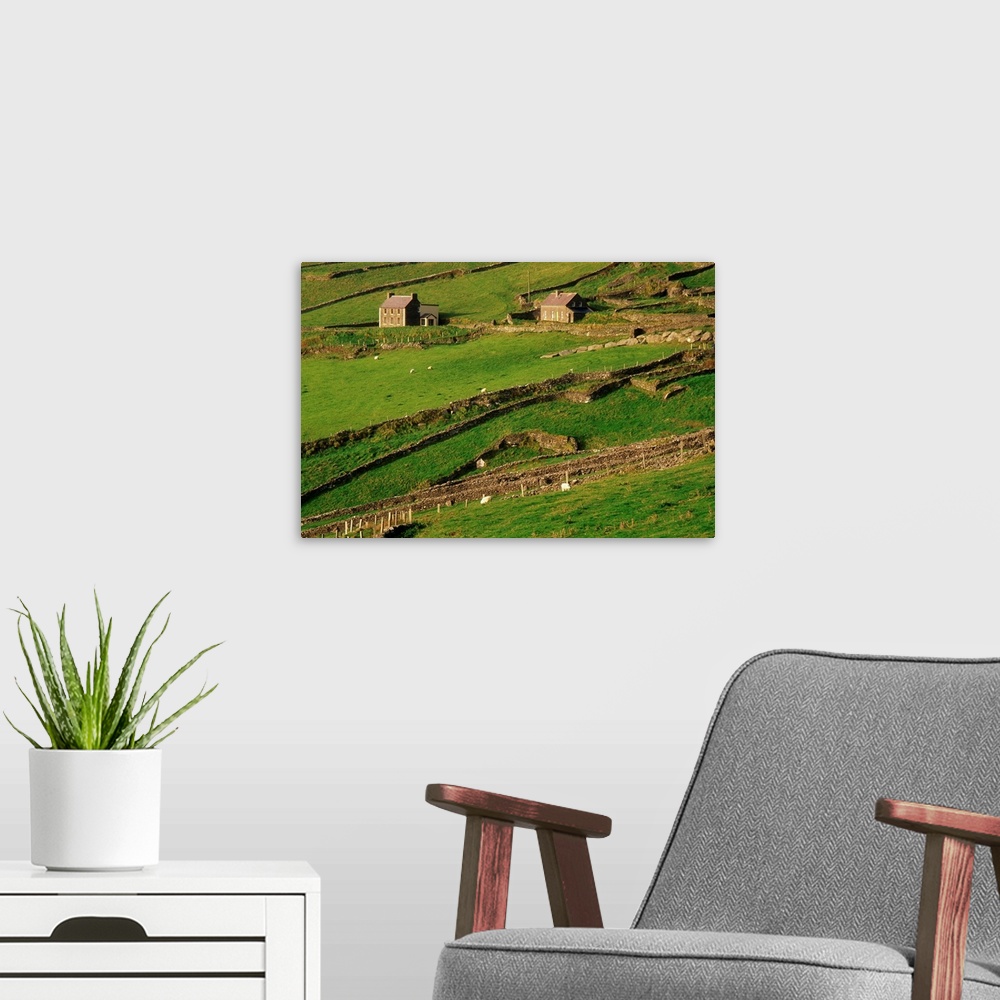 A modern room featuring Slea Head, Dingle Peninsula, County Kerry, Ireland; Aerial Of Farmscape
