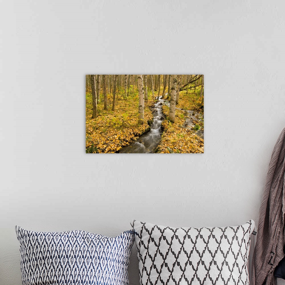 A bohemian room featuring A narrow stream rushes through the woods in this landscape photograph.