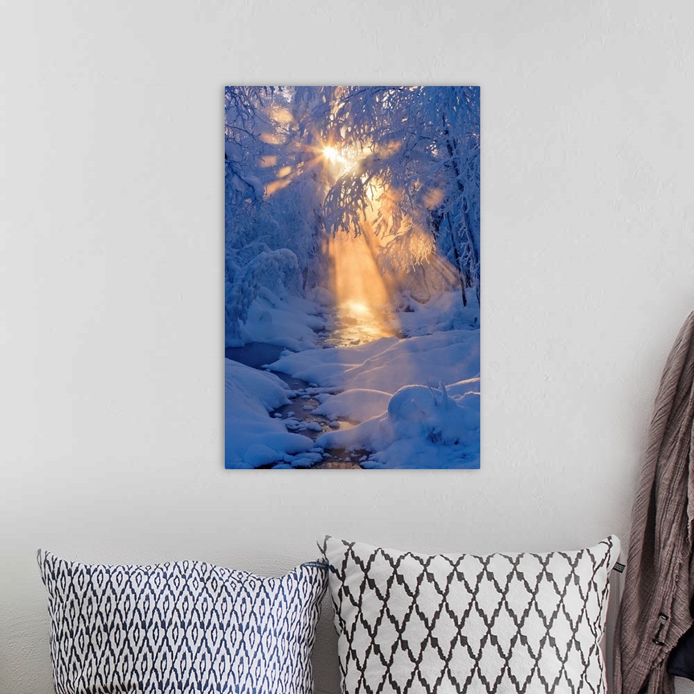 A bohemian room featuring Small Stream In A Hoarfrost Covered Forest With Rays Of Sun, Alaska