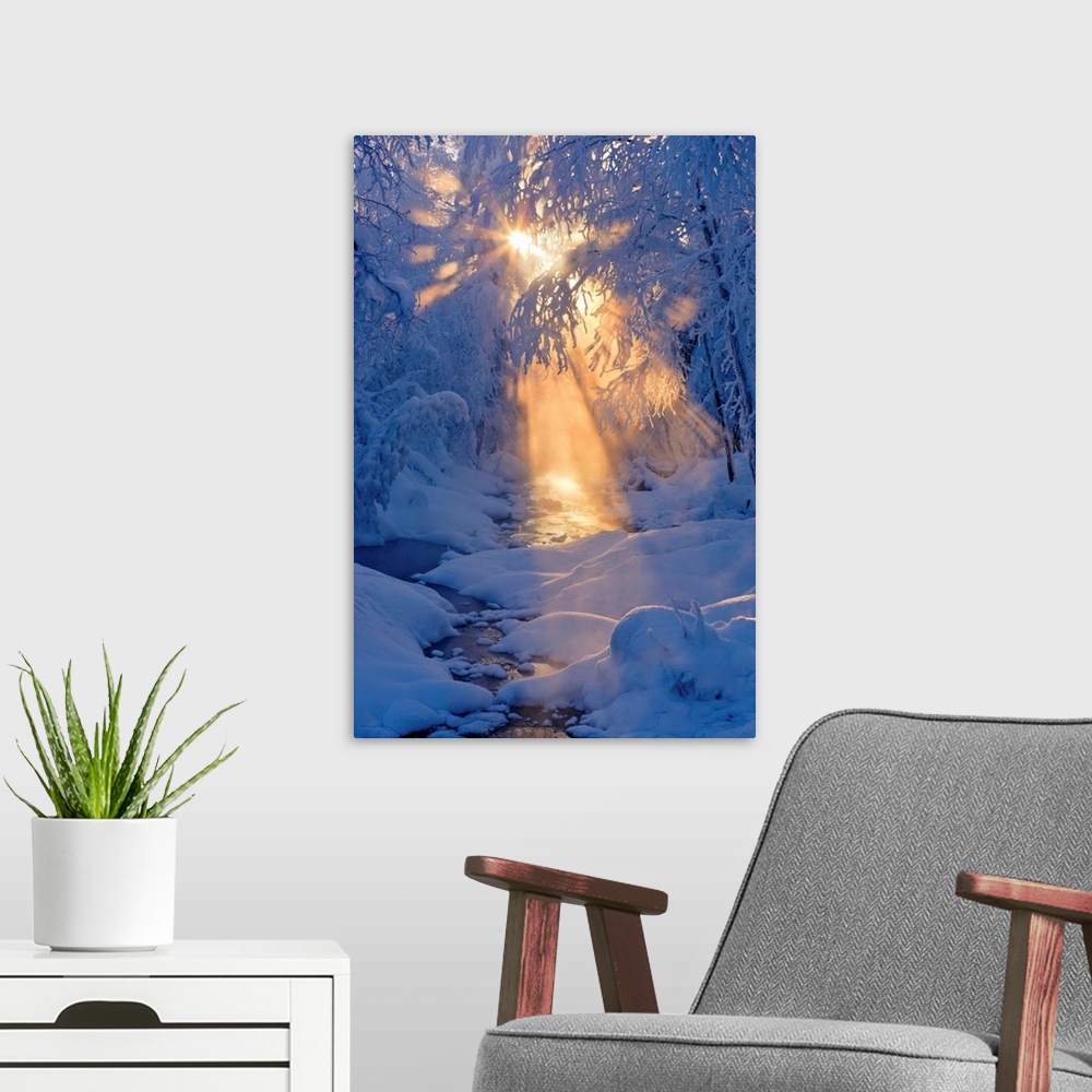 A modern room featuring Small Stream In A Hoarfrost Covered Forest With Rays Of Sun, Alaska