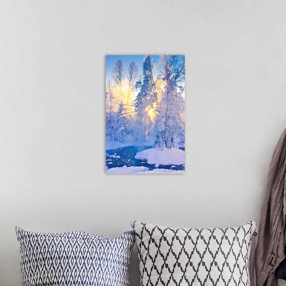 A bohemian room featuring Photo of a stand of Cottonwood trees on an island in the middle of a small stream in a hoarfrost ...