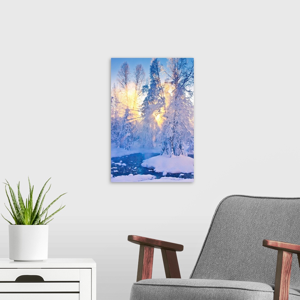 A modern room featuring Photo of a stand of Cottonwood trees on an island in the middle of a small stream in a hoarfrost ...