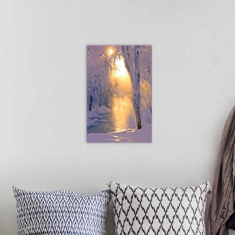 A bohemian room featuring Photo of small stream runing through a hoarfrost covered forest, rays of sun filtering through th...