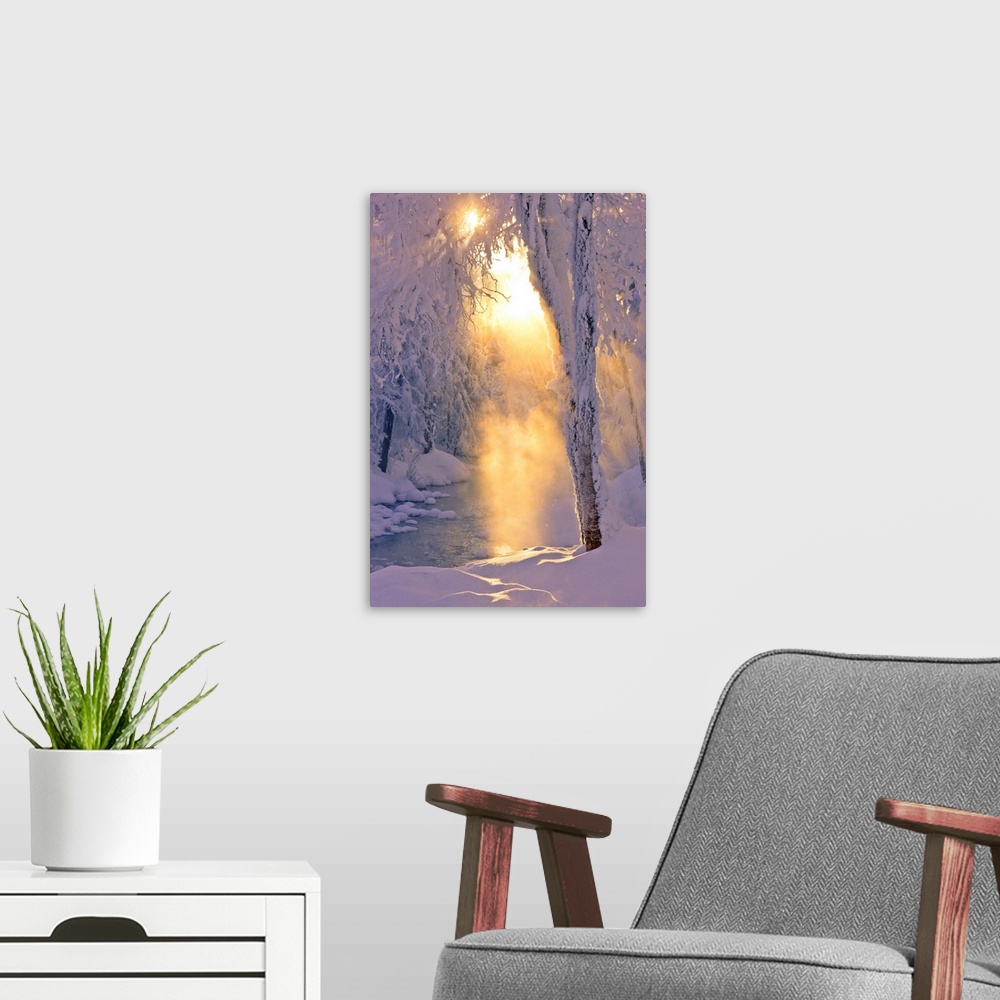 A modern room featuring Photo of small stream runing through a hoarfrost covered forest, rays of sun filtering through th...