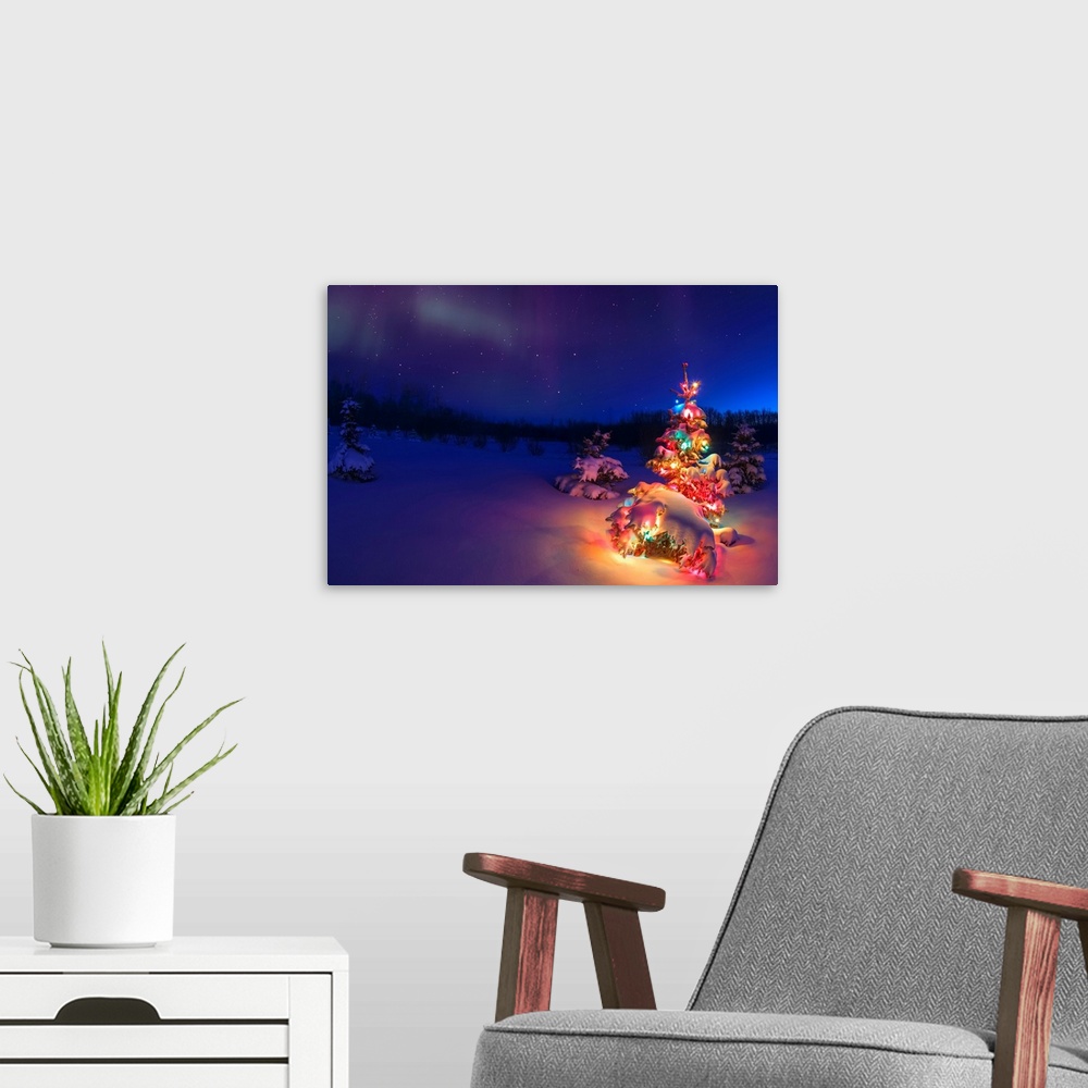 A modern room featuring Small tree outdoors with Christmas lights under starry sky, Alberta, Canada.
