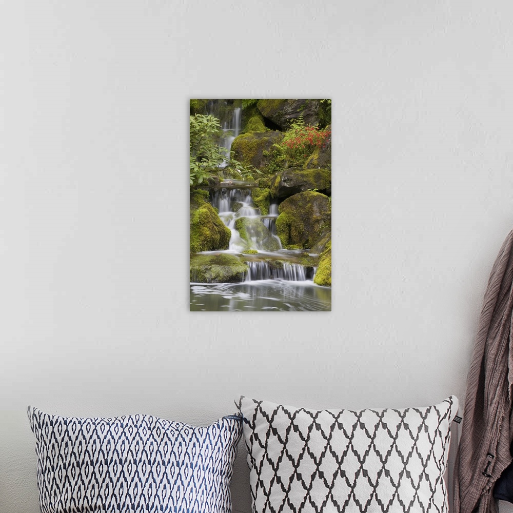 A bohemian room featuring Small Waterfalls Along Moss Covered Rocks; Portland, Oregon, USA