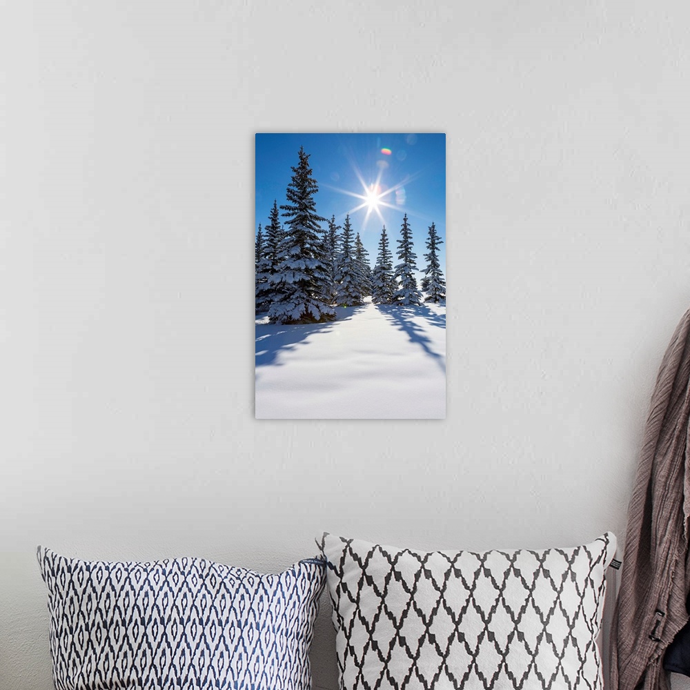 A bohemian room featuring Snow covered evergreen trees on a snow covered hillside with blue sky and sun burst; Calgary, Alb...
